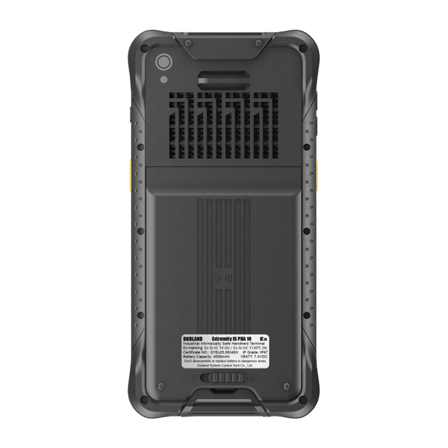 Extremidad IS PDA 10